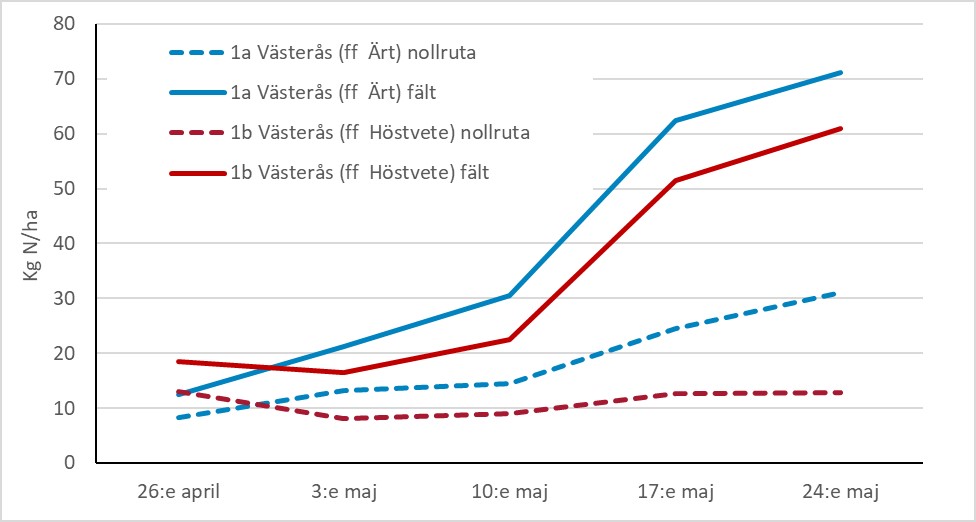 Diagram som visar kväveupptaget i nollrutor och i fält i Västerås