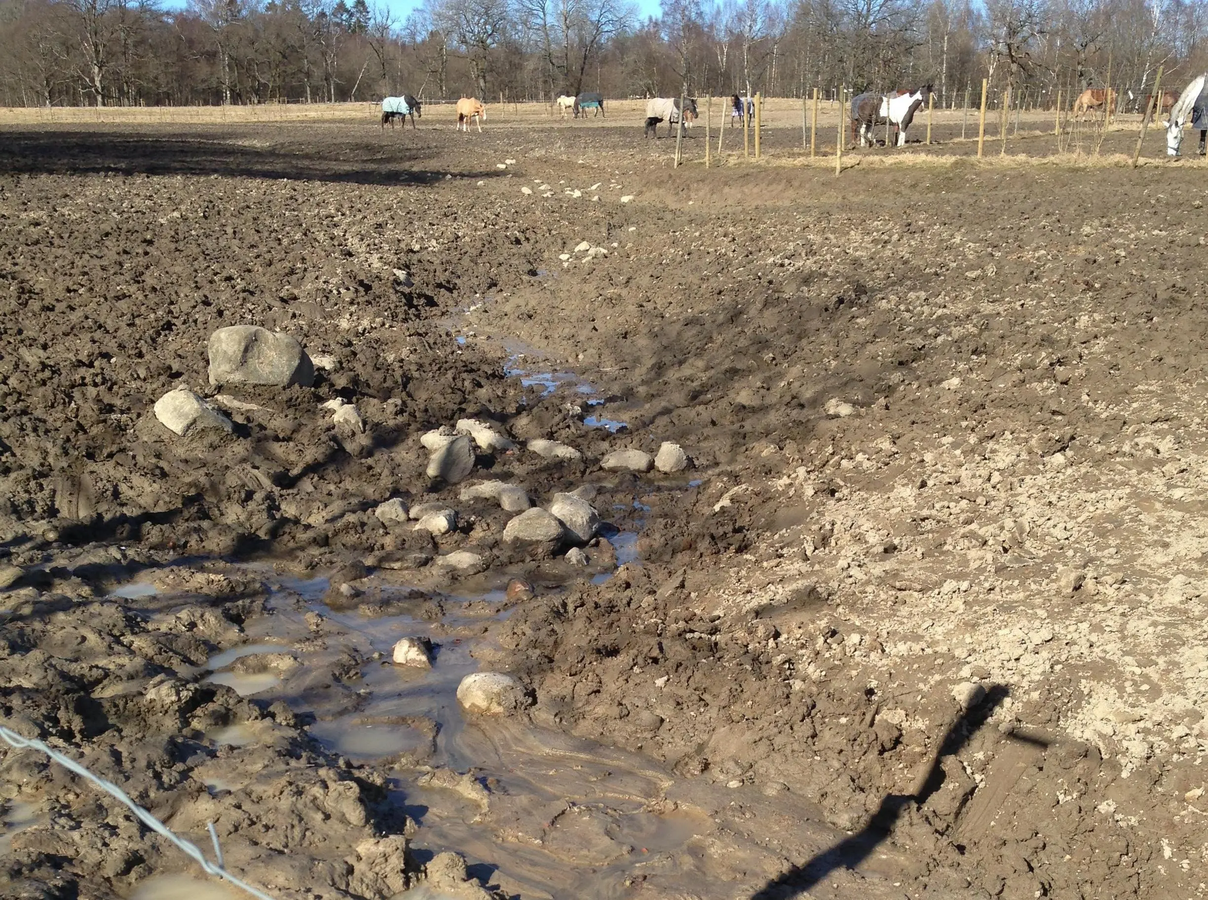 Erosion i rasthage för hästar