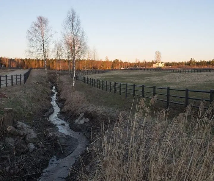 En bild på ett rensat dike som går mellan två hästhagar.