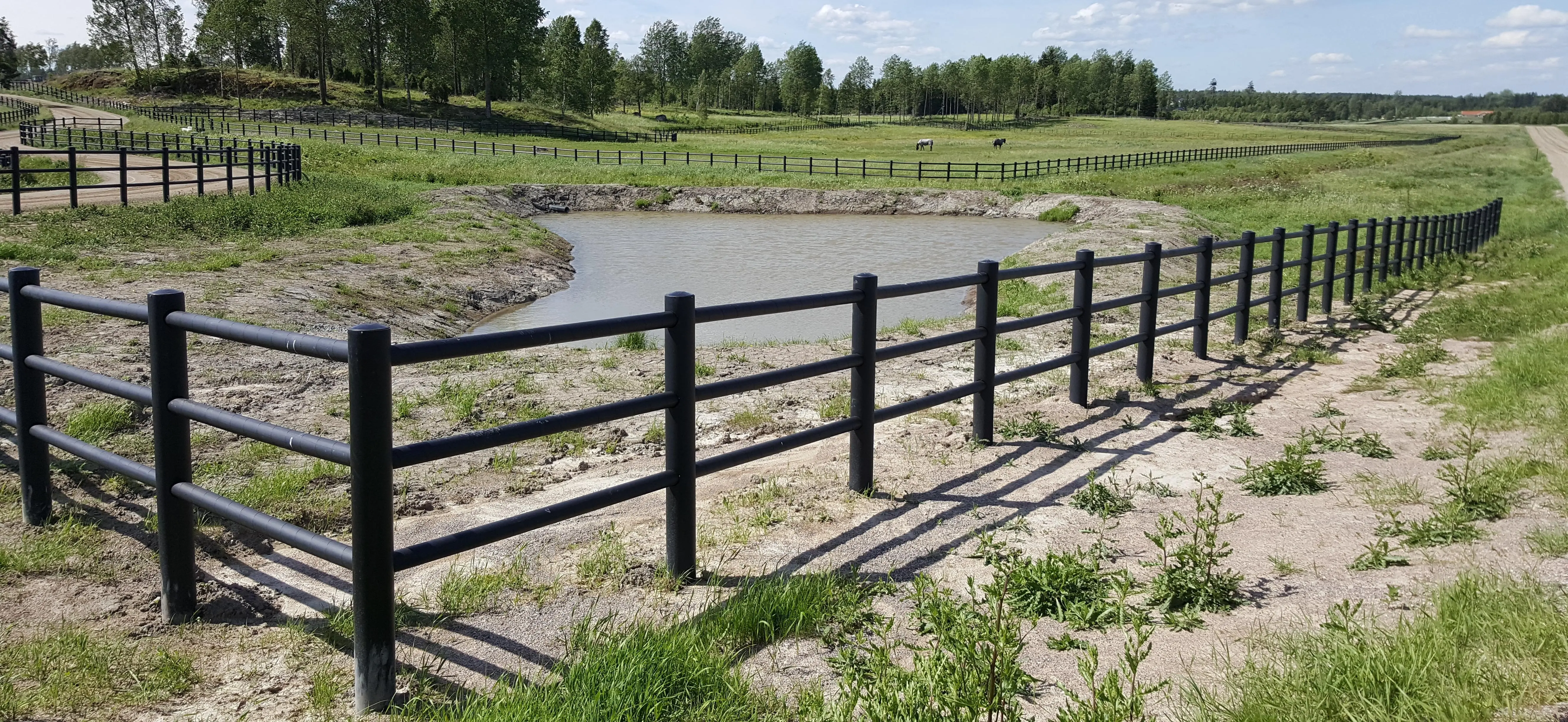 Ett foto på en sedimentationsdamm bland hästhagarna.