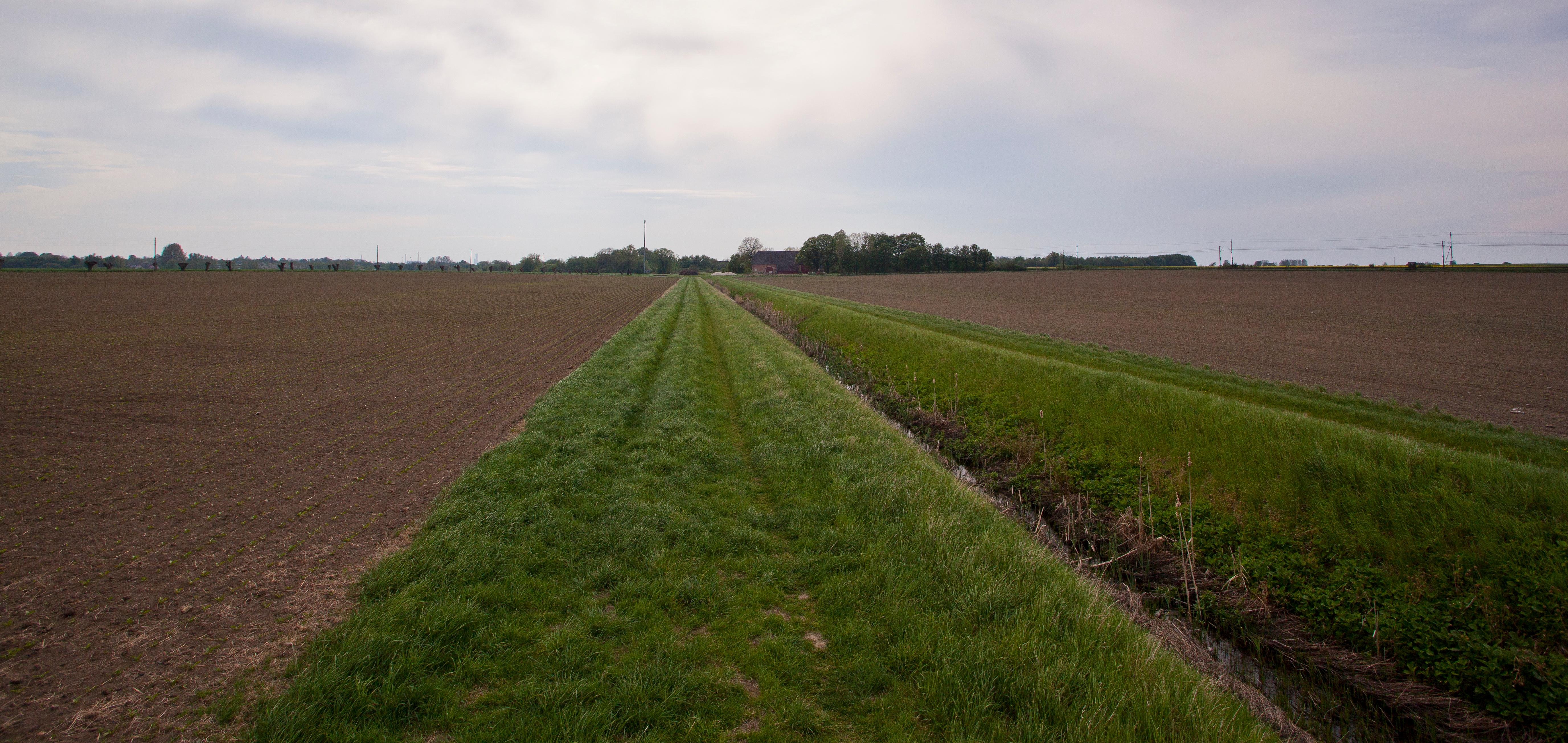 Dike i jordbrukslandskap med skyddszoner på båda sidorna.