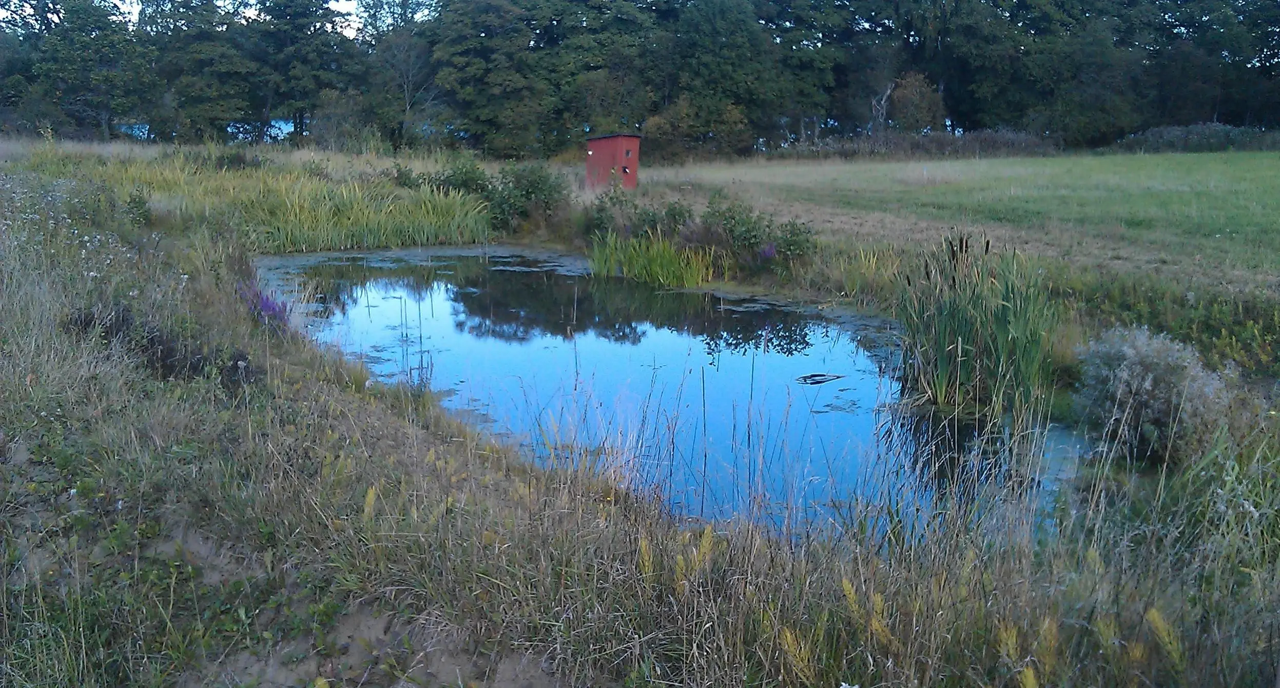 Fotot på en fosfor damm