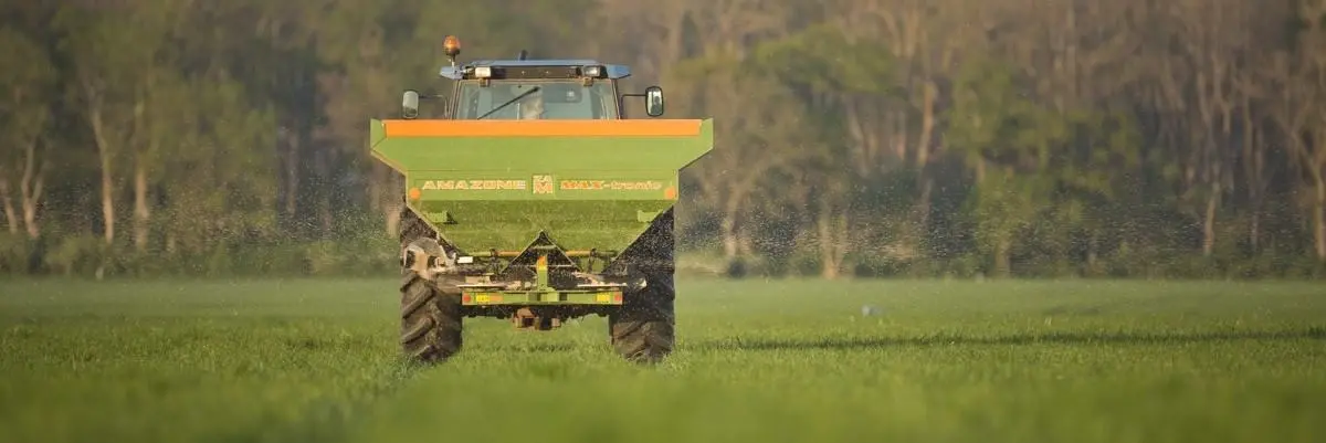 traktor med gödningsspridare i höstvetefält