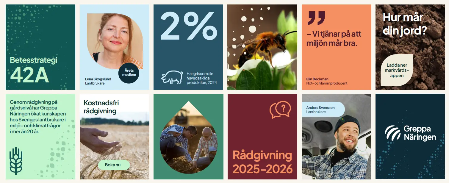 Kvinna i ett mässtält