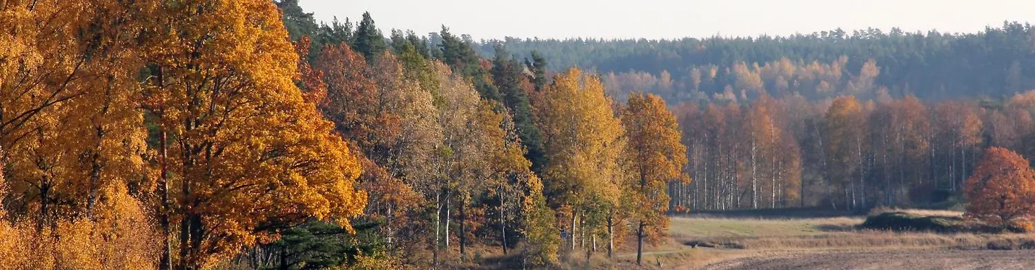 Foto: Janne Andersson