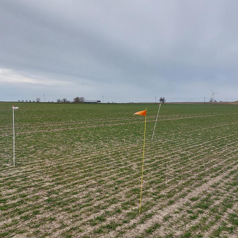 Trelleborg A den 13 april. Foto J. Lassvik