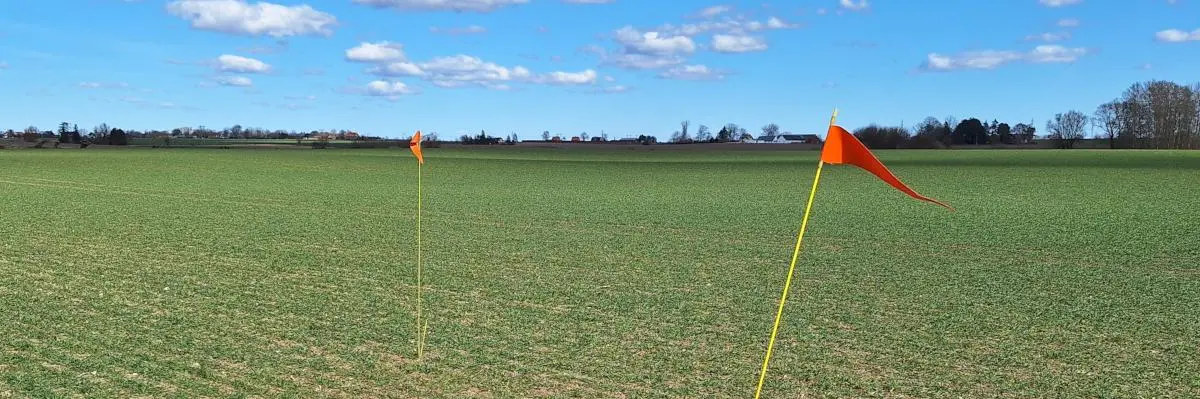 Lägg in en bildbeskrivning