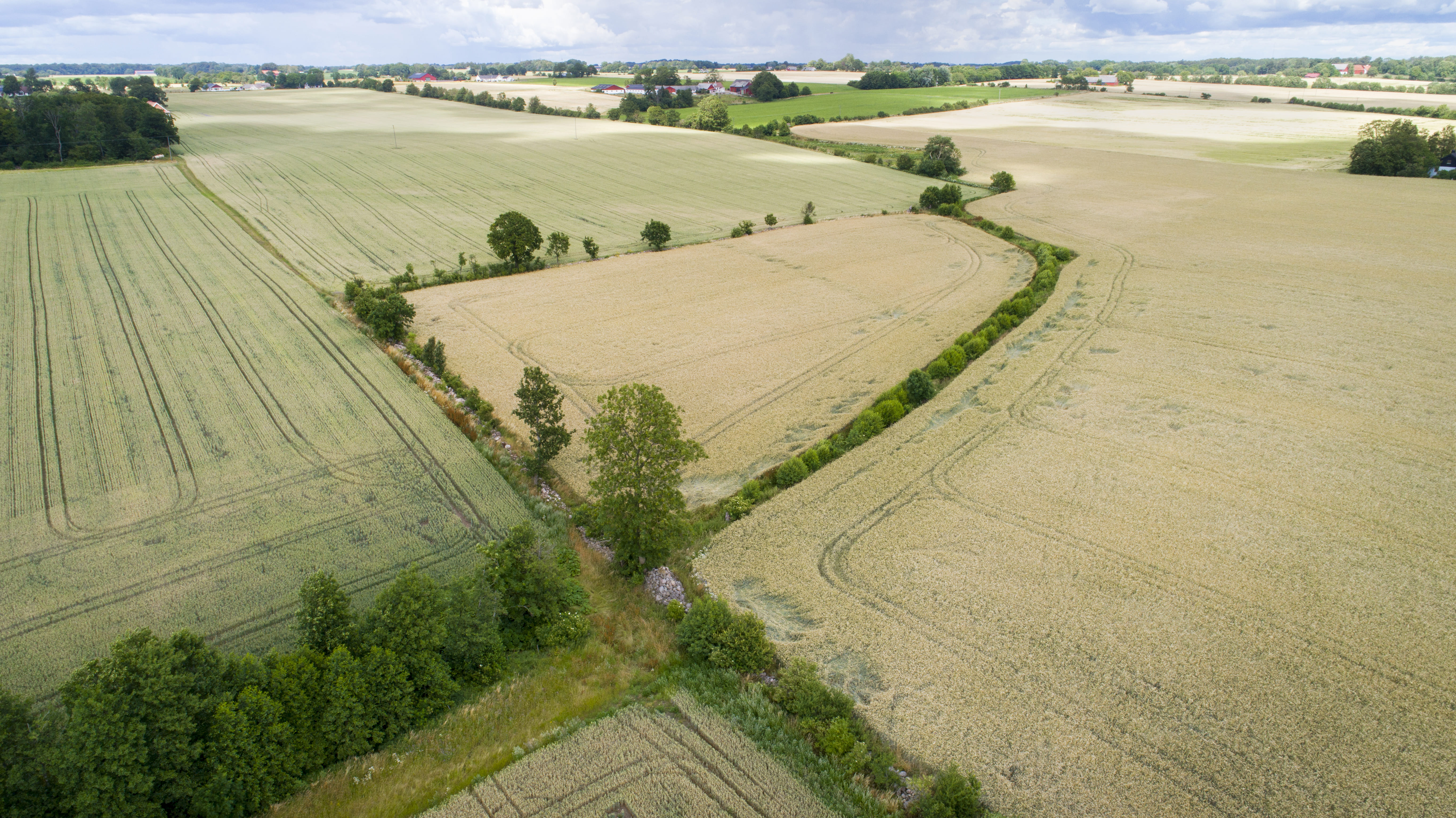 Landskapsvy