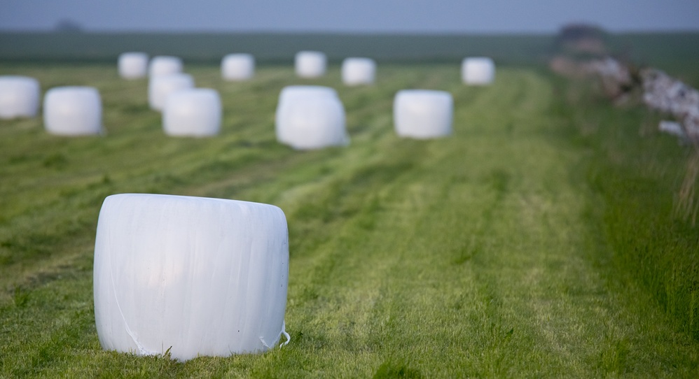 ensilagebalar på fält