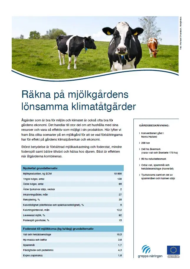 Bild på broschyrens framsida