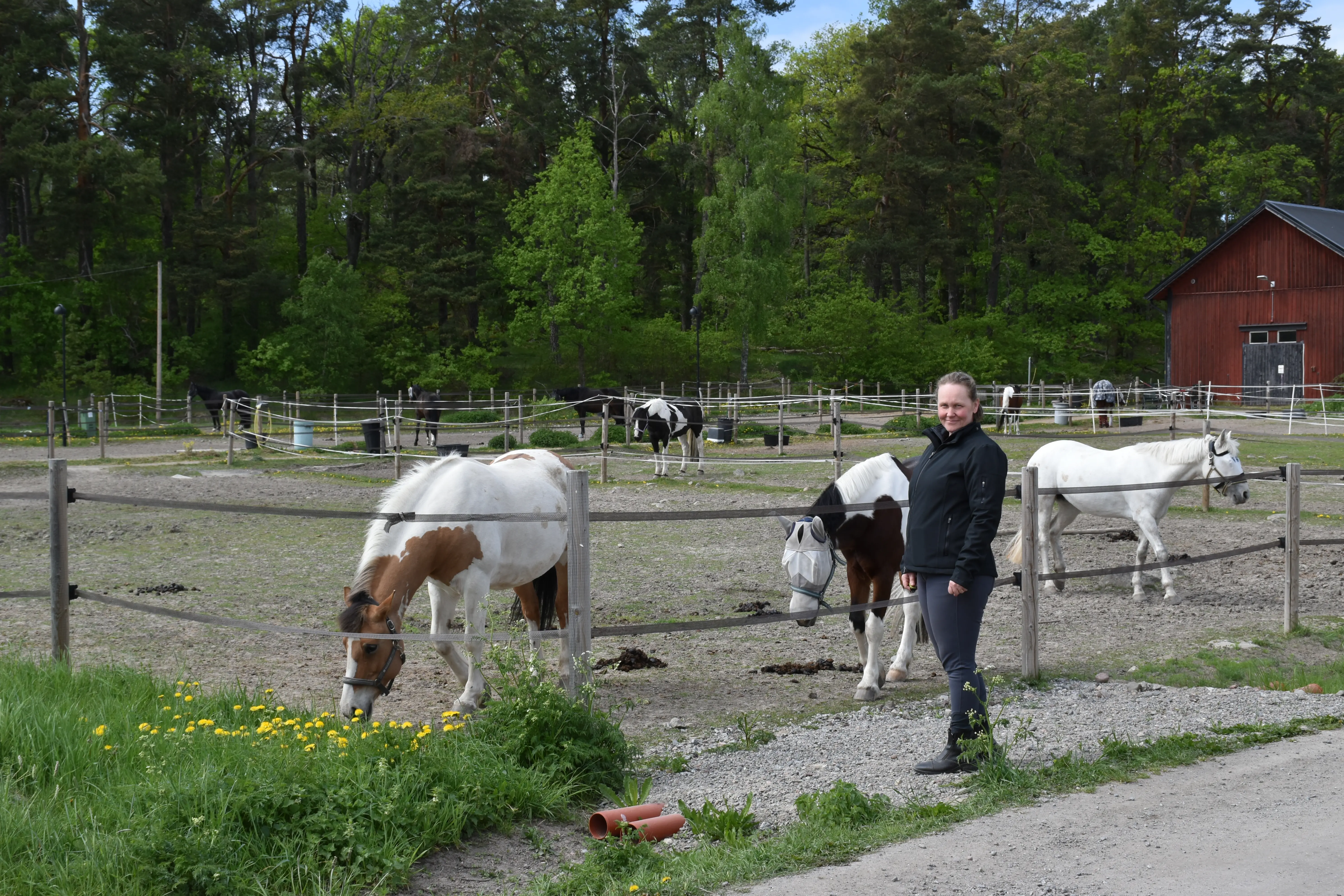 Anna Tholander står vid hästhagen och tittar in i kameran