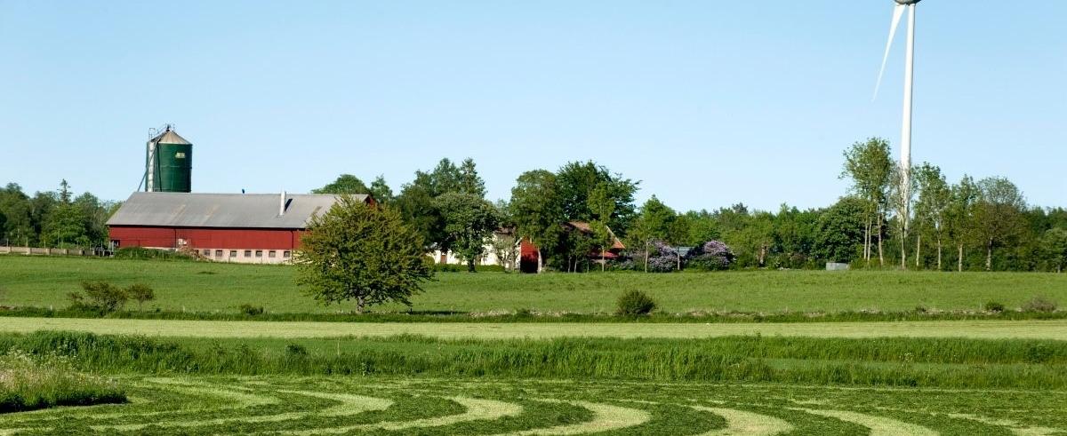 Gård med slagen vall i förgrunden