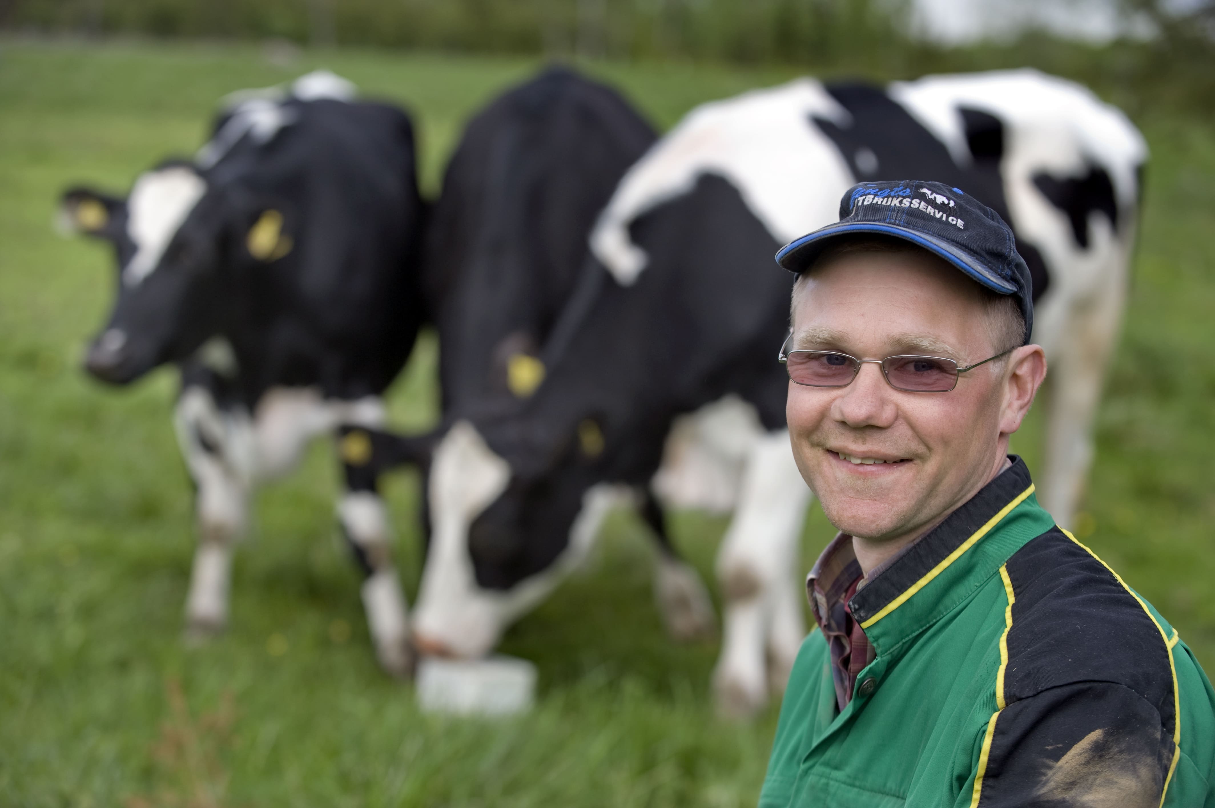 Lantbrukare med kor i bakgrunden