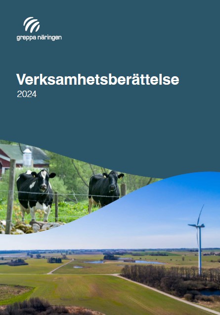 Bild på verksamhetsberättelsens framsida