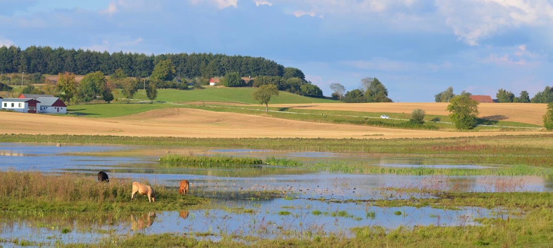 Tullstorpsån