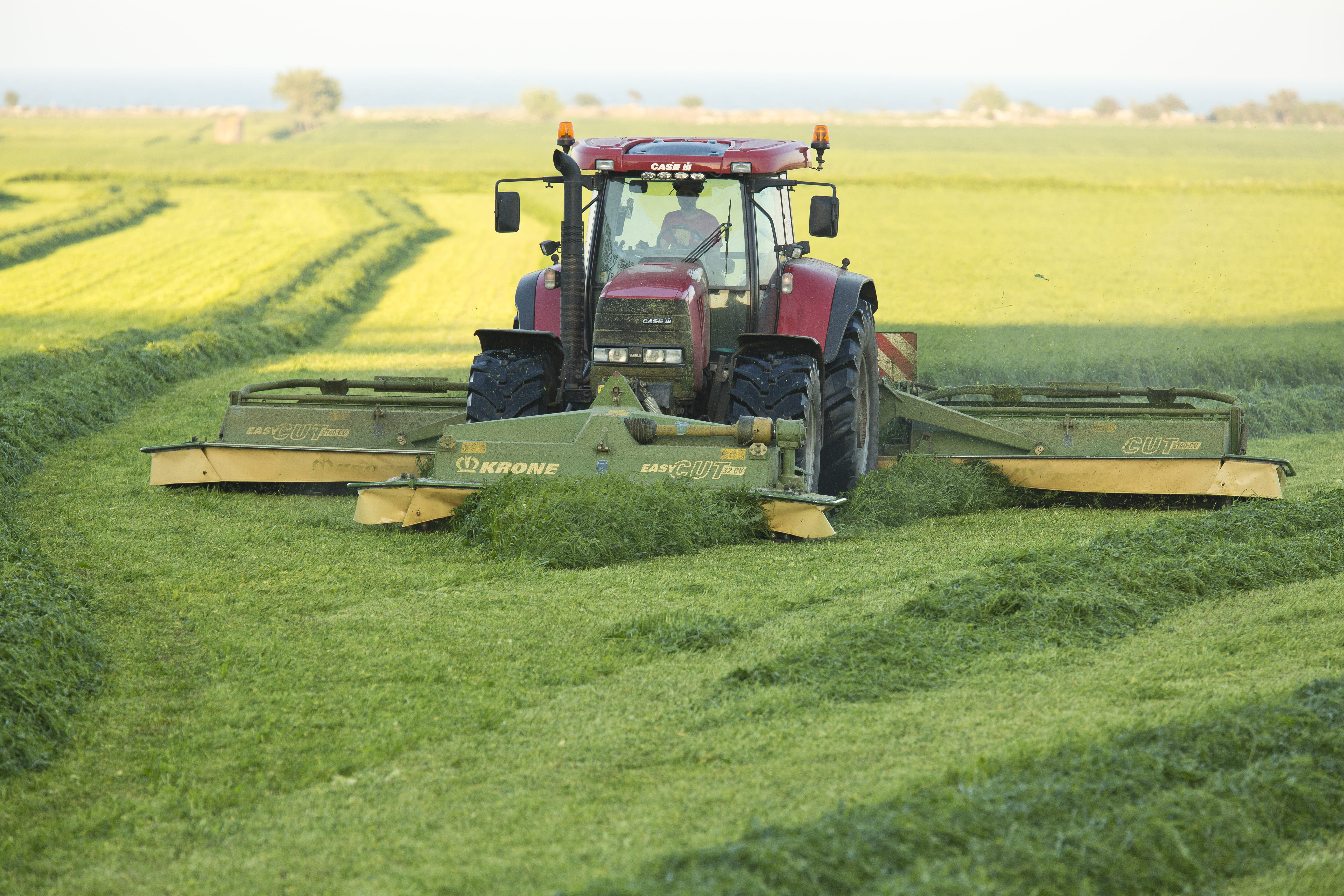 Traktor som slår gräs med butterfly slåttekross