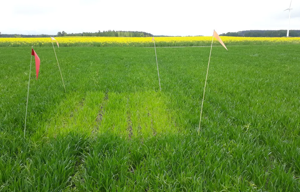 Foto som visar nollruta på fält E8 Högby, Östergötland.