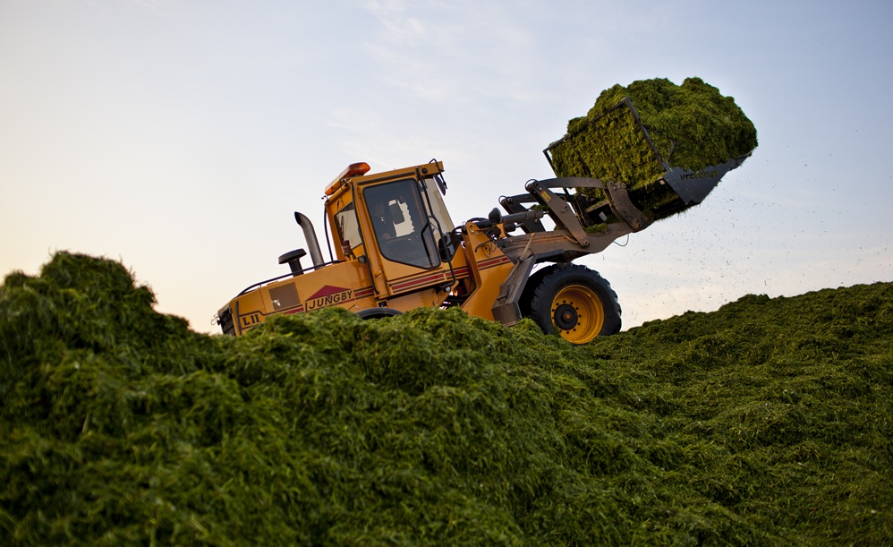 traktor lastar gräs