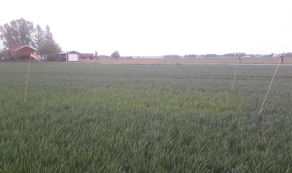 Foto som visar nollruta på fält E13 Åsmestad, Östergötland.