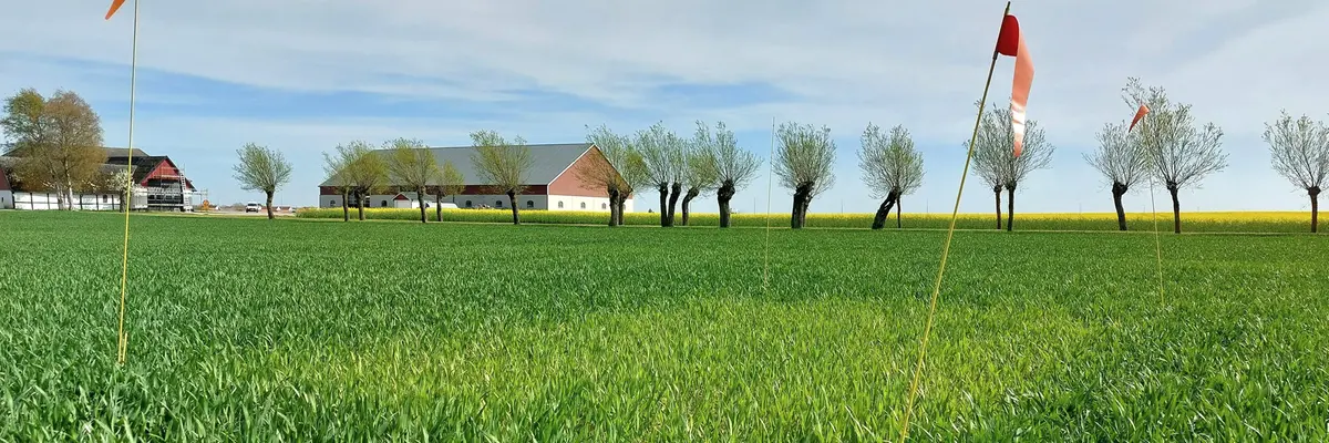 Bild1. Trelleborg mätplats A. Foto: J. Lassvik