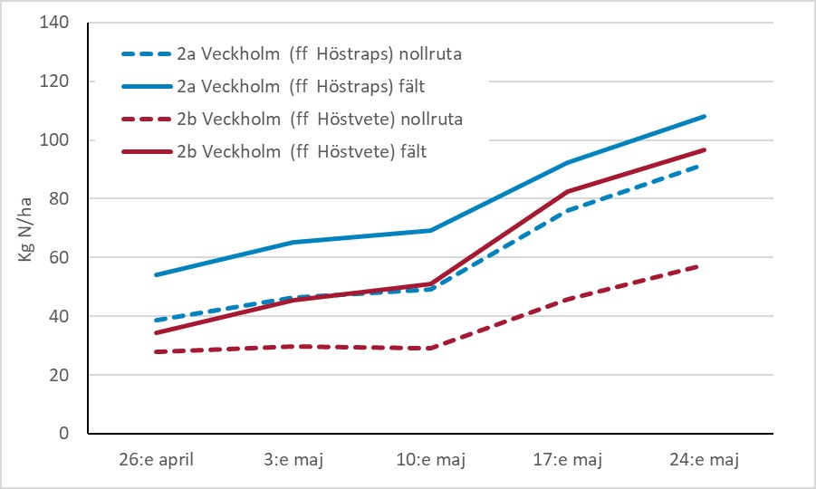 Figur 4. Diagram som visar kväveupptaget i nollrutor och i fält i Veckholm