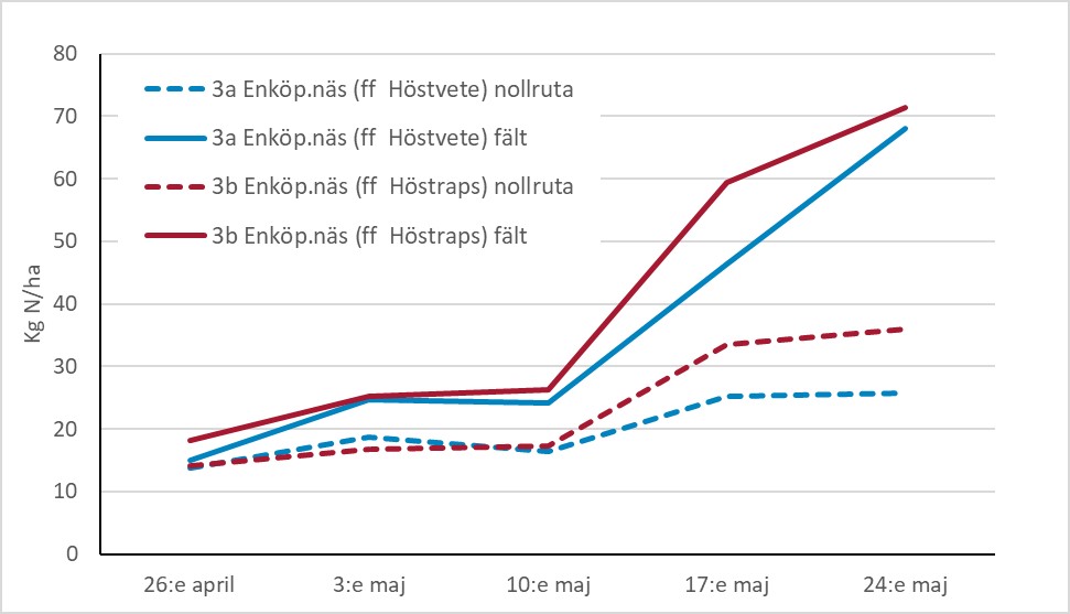 Diagram som visar kväveupptaget i nollrutor och i fält på Enköpingsnäs