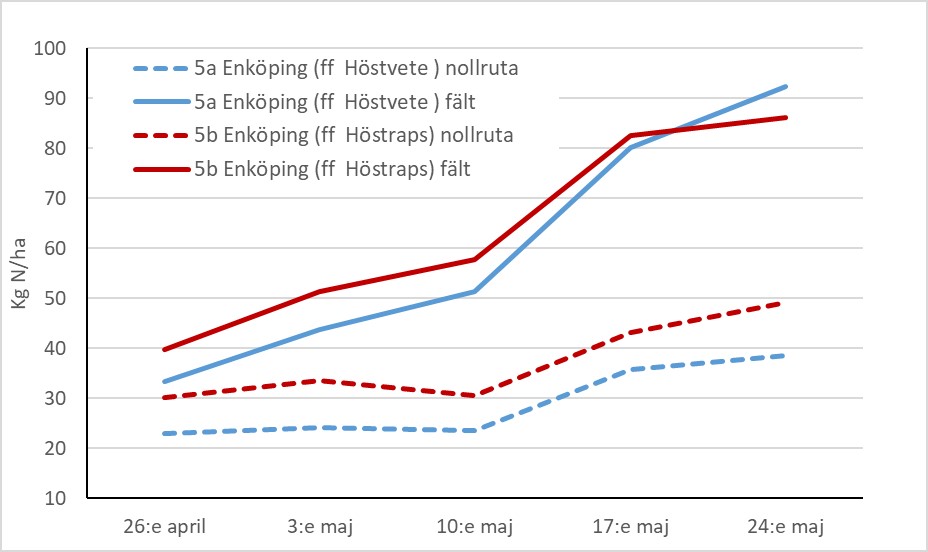 Diagram som visar kväveupptaget i nollrutor och i fält i Enköping