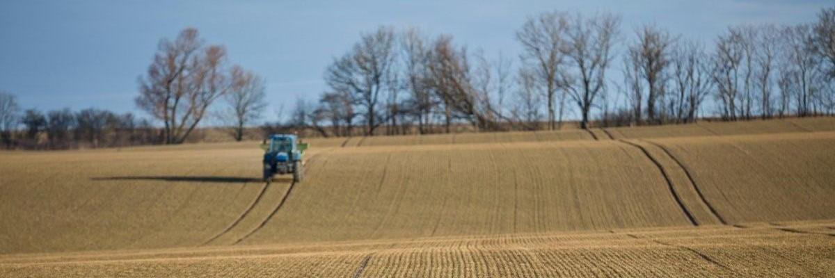 Landskapsbild från Uppsala