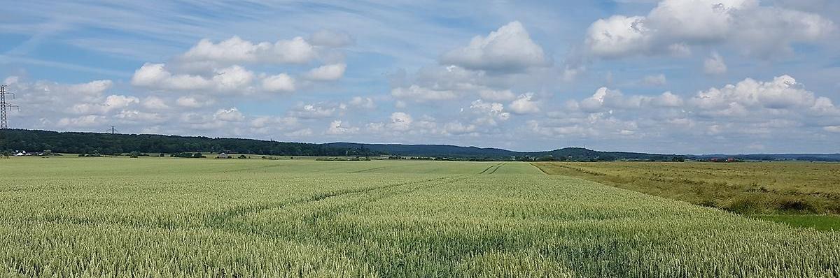 Landskapsbild Halland