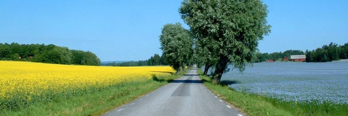 Landskapsbild Östergötland