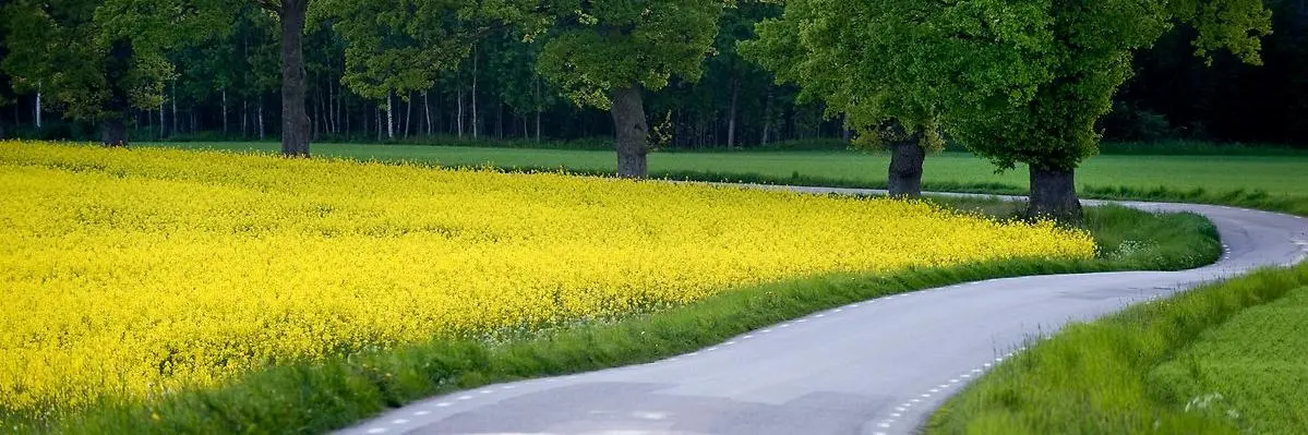 Landskapsbild Skåne