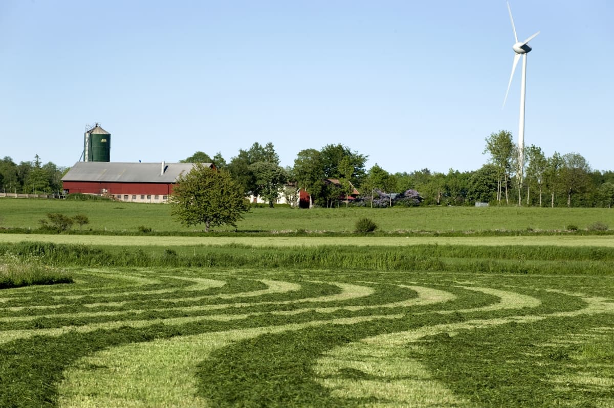 Fält med slagen vall. Gård och vindkraftverk i bakgrunden.
