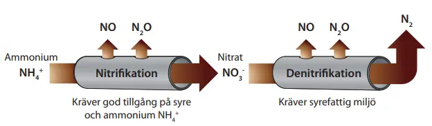 En illustration av lustgasavgången från nitrifikation och denitrifikation