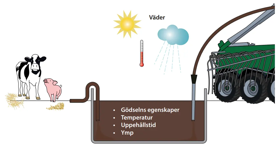 Illustration över vad som påverkar metanbildningen i flytgödsel.