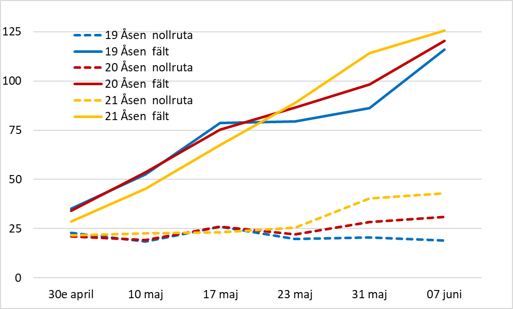 Diagram som visar kväveupptaget i nollrutor och i fält i Åsen