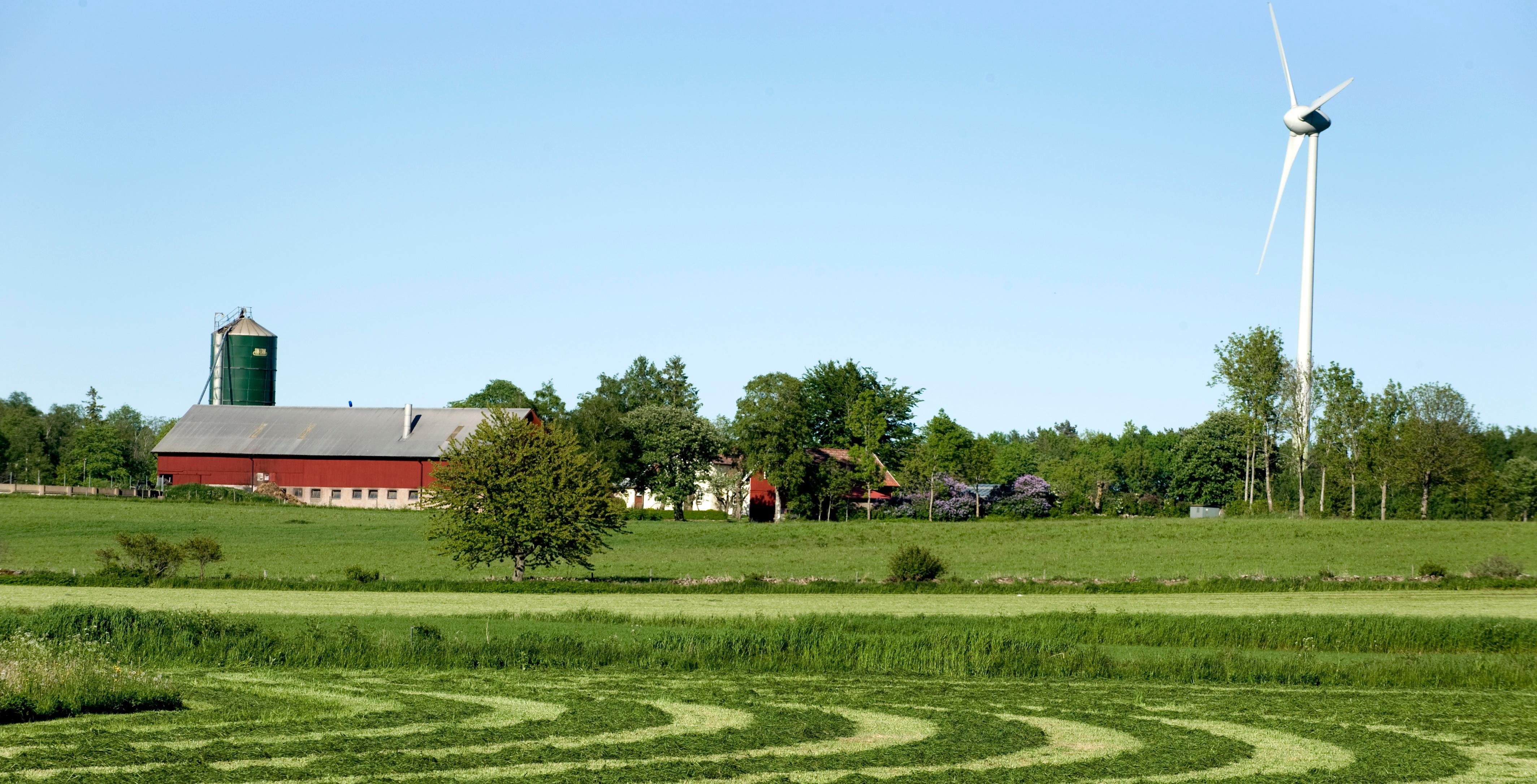 Slagen vall med gård i bakgrunden