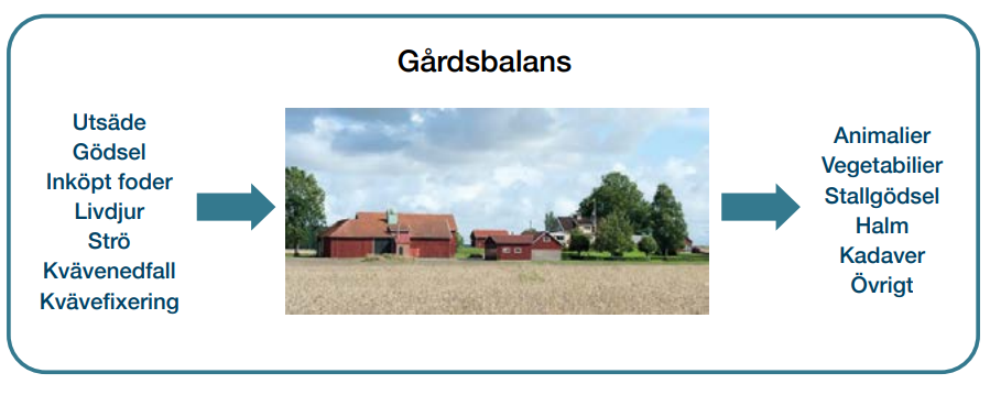 En figur som förklarar gårdsbalans. Utsäde, gödsel, inköpt foder, livdjur, strö, kvävenedfall och kävefixering är växtnäring in på gården. Animalier, vegitabiler, stallgödsel, halm, kadaver med mera är växtnäring ut från gården. Detta tillsammans skapar en gårdsbalans.