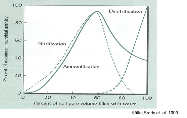 Denitrifikation