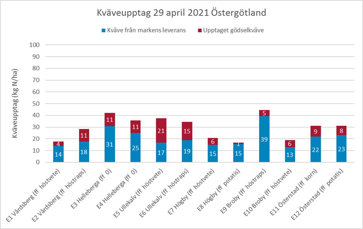 Foto som visar en nollruta som inte fått kväve i ett fält med höstvete