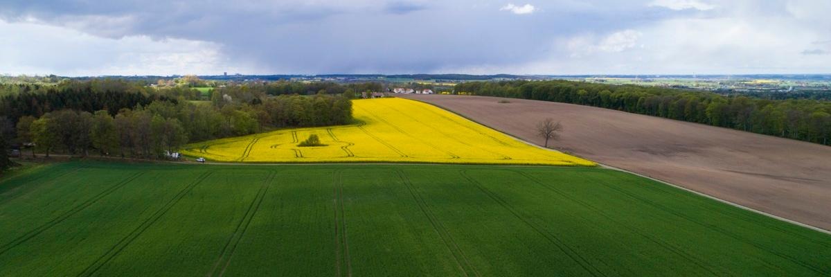 Flygfoto jordbruksmark