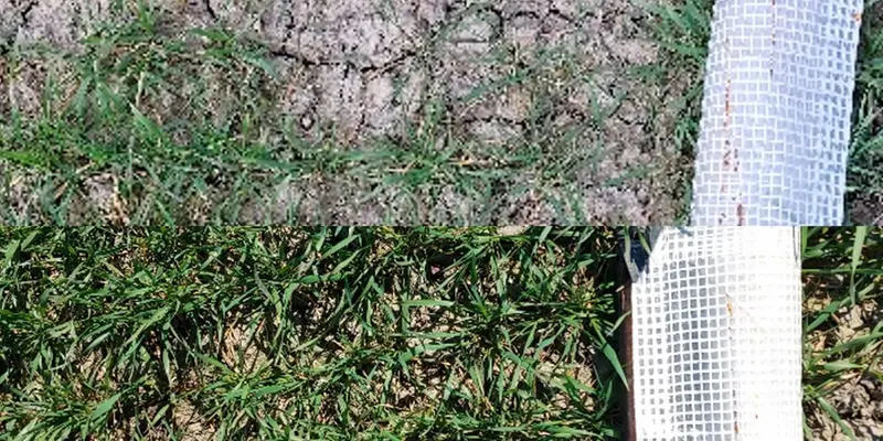 Nollruta i Sandby gård mätplats C vecka 16 och vecka 17.