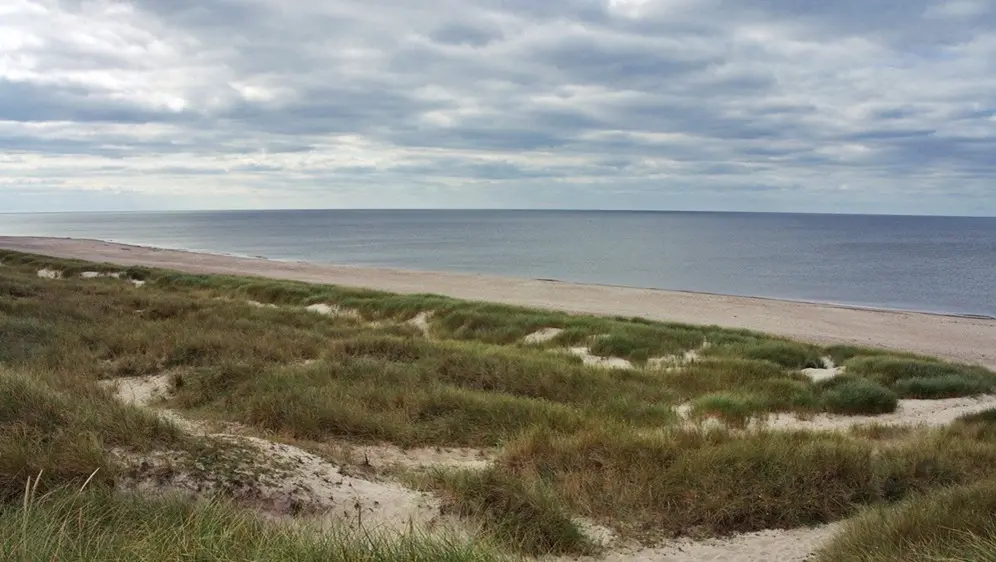 strand och sanddyner