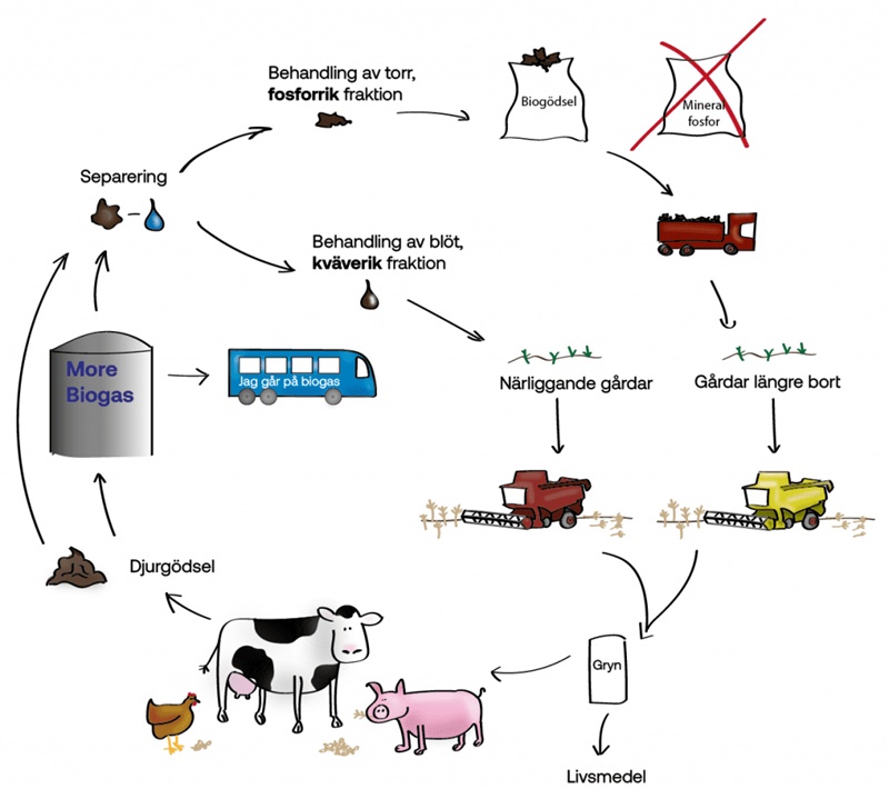 kretslopp för djurgödsel