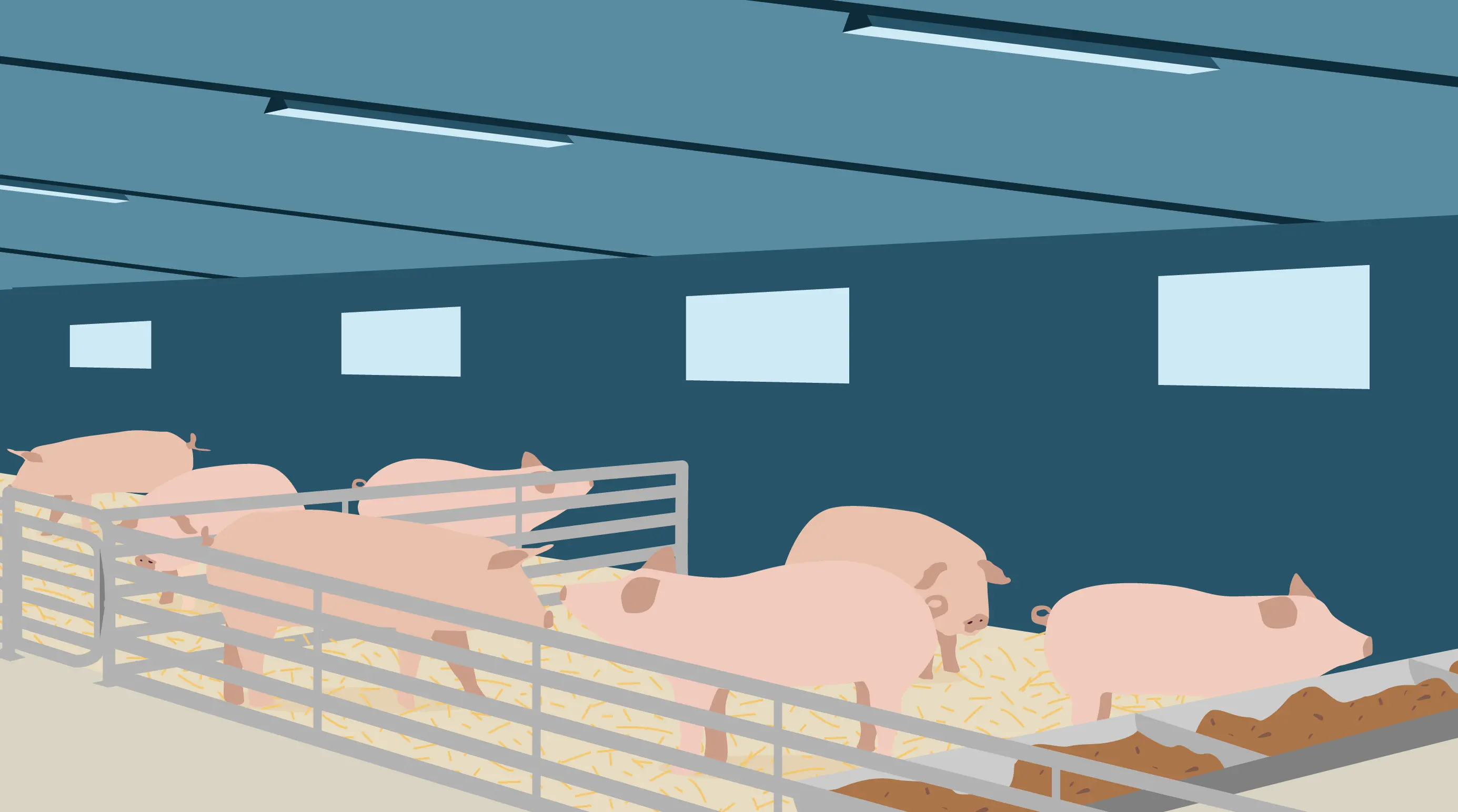Illustration av ett grisstall