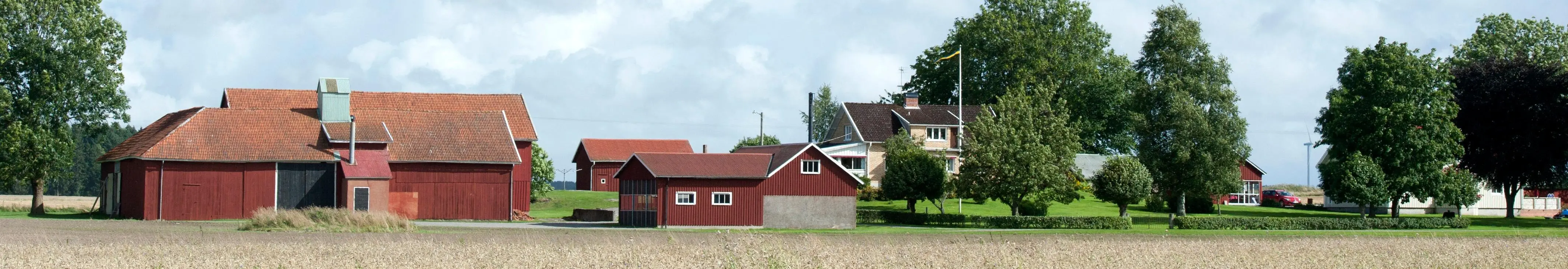 Ett spannmålsfält med en gård i bakgrunden