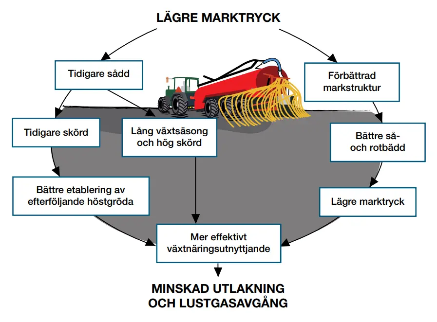 Illustration över positiva effekter av minskad markpackning