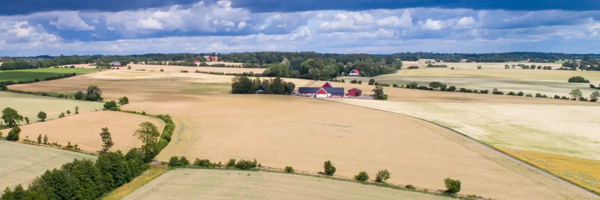 Flygfoto jordbruksmark
