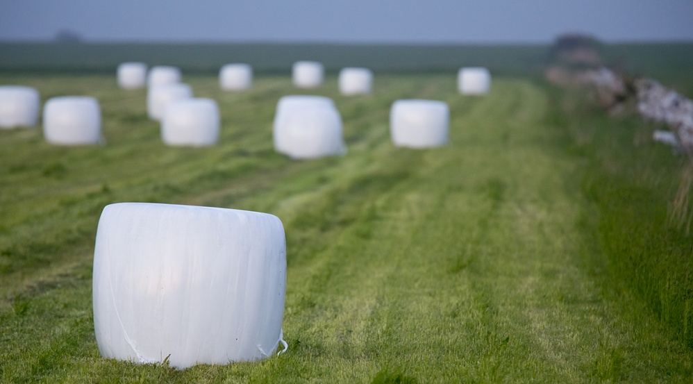 hösilagebalar på fält