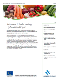 Modulblad 11D Kväve- och fosforstrategii grönsaksodlingen