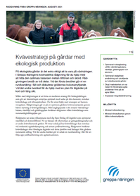 Modulblad 11E Kvävestrategi på gårdar med ekologisk produktion